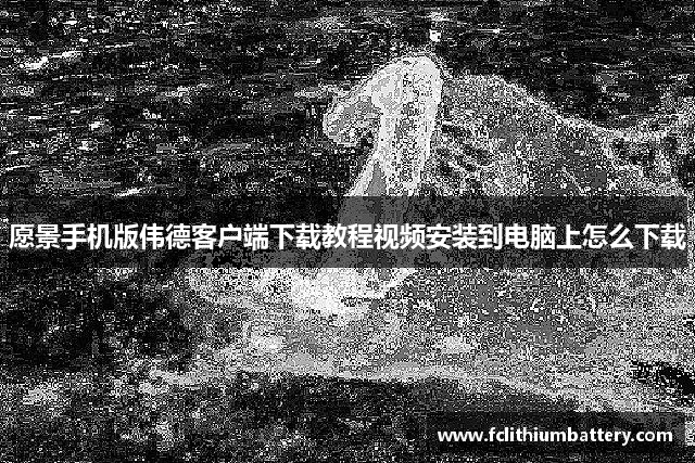 愿景手机版伟德客户端下载教程视频安装到电脑上怎么下载